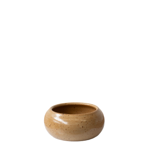 Biscuit Ikebana Bowl